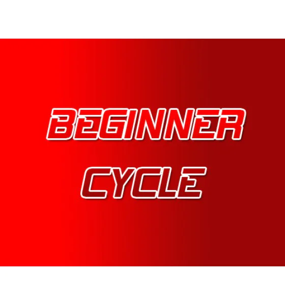 1 Beginner Steroid Cycle - Image 1